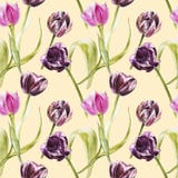 Flowers of Tulips. Watercolor hand drawn botanical illustration of flowers. Seamless pattern. vector illustration Flowers of Tulips. Watercolor hand drawn botanical illustration of flowers. Seamless pattern. vector illustration
