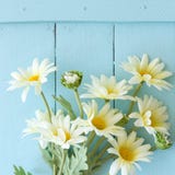 Flowers on vintage wood background stock images Flowers on vintage wood background stock images