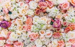 Flowers wall background with amazing red and white roses, Wedding decoration, hand made royalty free stock images Flowers wall background with amazing red and white roses, Wedding decoration, hand made royalty free stock images