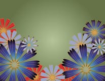 Flowers With Gradient Background Stock Photography