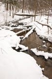 Flowing Forest Stream Water In Winter. Coast Snow Royalty Free Stock Images Flowing Forest Stream Water In Winter. Coast Snow Royalty Free Stock Images