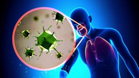 Flu / Cold Virus - Sneezing Human Anatomy