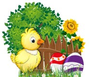Fluffy Chicken And Painted Easter Eggs Stock Images