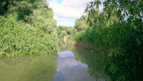Fluss in Donau-Delta stock footage Fluss in Donau-Delta stock footage