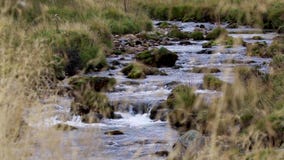 Fluss livet Laufen glatt und niedrig im glenlivet während Septembers Nationalpark Cairngormss stock footage Fluss livet Laufen glatt und niedrig im glenlivet während Septembers Nationalpark Cairngormss stock footage