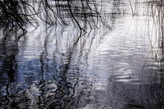 Flusswasserwind im Weidenhintergrund stockbilder Flusswasserwind im Weidenhintergrund stockbilder
