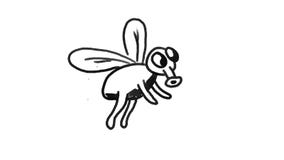 Fly flying side drawing 2D Animation