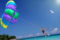 Fly To Tropical Sea, Sun & Fun. Royalty Free Stock Photos Fly To Tropical Sea, Sun & Fun. Royalty Free Stock Photos
