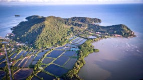 Flyg- sikt av räkalantgården och luftreningsapparaten i Thailand Continu royaltyfria foton Flyg- sikt av räkalantgården och luftreningsapparaten i Thailand Continu royaltyfria foton