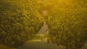 Flyg- sikt av skogen och sjön under sommarsolnedgång royaltyfria bilder Flyg- sikt av skogen och sjön under sommarsolnedgång royaltyfria bilder