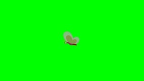 Flying butterfly animation. Flapping wing butter fly flying in line. Transparent wing cartoon character. Flying insects, zig zag.