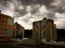 Heart shaped flock of birds stock photos Heart shaped flock of birds stock photos