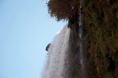 Foaming water plunging over a cliff edge royalty free stock images Foaming water plunging over a cliff edge royalty free stock images
