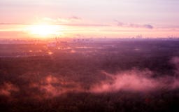 Fog over the forest at sunset stock images Fog over the forest at sunset stock images