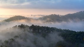 Fog над горой и лесом на восходе солнца на Lat Da, Вьетнаме Стоковое Изображение Fog над горой и лесом на восходе солнца на Lat Da, Вьетнаме Стоковое Изображение