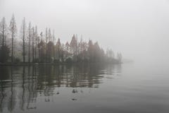 Foggy forest on the lake. royalty free stock photo Foggy forest on the lake. royalty free stock photo