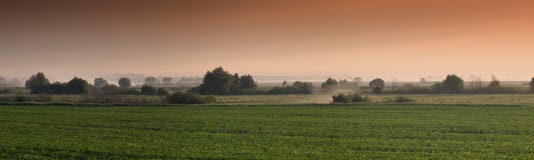 Foggy Morning Royalty Free Stock Photography Foggy Morning Royalty Free Stock Photography