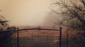 Foggy Morning in Rural America stock images Foggy Morning in Rural America stock images