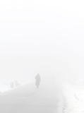 Foggy Winter Park Royalty Free Stock Photo Foggy Winter Park Royalty Free Stock Photo