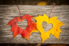Fogli di autunno con i cuori Fogli di autunno con i cuori