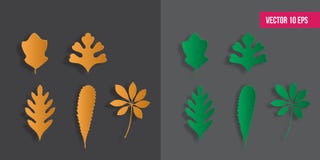 Fogli di autunno impostati Stile tagliato di carta, illustrazione di vettore, pacchetto dell'icona illustrazione vettoriale Fogli di autunno impostati Stile tagliato di carta, illustrazione di vettore, pacchetto dell'icona illustrazione vettoriale