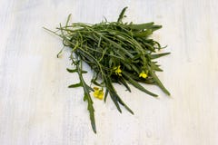 Foglie verdi fresche della rucola immagine stock libera da diritti Foglie verdi fresche della rucola immagine stock libera da diritti