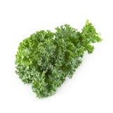 Foglie verdi organiche fresche del cavolo isolate sopra fondo bianco fotografia stock libera da diritti Foglie verdi organiche fresche del cavolo isolate sopra fondo bianco fotografia stock libera da diritti