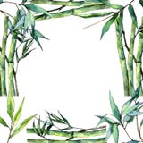 Folha de bambu verde Folha floral do jardim botânico da planta da folha Quadrado do ornamento da beira do quadro ilustração royalty free Folha de bambu verde Folha floral do jardim botânico da planta da folha Quadrado do ornamento da beira do quadro ilustração royalty free
