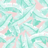 Folhas da banana ilustração royalty free Folhas da banana ilustração royalty free