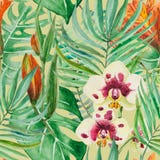 Folhas de palmeira e monstera enormes de florescência da floresta úmida, ilustração royalty free Folhas de palmeira e monstera enormes de florescência da floresta úmida, ilustração royalty free
