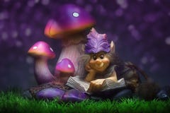 Folletto nella viola Folletto nella viola