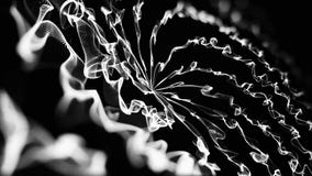 Fond abstrait avec l'animation des cercles de rotation et anneaux avec les rayons légers et la lueur Fleur explosive abstraite images libres de droits Fond abstrait avec l'animation des cercles de rotation et anneaux avec les rayons légers et la lueur Fleur explosive abstraite images libres de droits