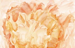 Fond abstrait de fleur de tissu, tissu de ondulation floral artistique, Photo stock Fond abstrait de fleur de tissu, tissu de ondulation floral artistique, Photo stock