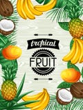 Fond avec les fruits tropicaux et les feuilles Concevez pour faire de la publicité des livrets, labels, emballage, menu illustration de vecteur Fond avec les fruits tropicaux et les feuilles Concevez pour faire de la publicité des livrets, labels, emballage, menu illustration de vecteur