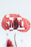 Fond bleu d'affiche de pavot rouge inspiré de sourire images libres de droits Fond bleu d'affiche de pavot rouge inspiré de sourire images libres de droits