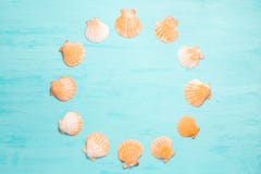 Fond bleu de mer avec l'espace de copie et le cadre rond faits en coquillages, vacances d'été et concept de vacances photographie stock libre de droits Fond bleu de mer avec l'espace de copie et le cadre rond faits en coquillages, vacances d'été et concept de vacances photographie stock libre de droits