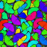 Fond coloré fait de papillons bleus de Morpho dans la grâce photographie stock Fond coloré fait de papillons bleus de Morpho dans la grâce photographie stock