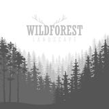 Fond conifére sauvage de forêt Pin, nature de paysage, panorama naturel en bois illustration de vecteur Fond conifére sauvage de forêt Pin, nature de paysage, panorama naturel en bois illustration de vecteur