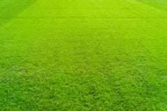 Fond de champ d'herbe verte, texture, modèle Images stock Fond de champ d'herbe verte, texture, modèle Images stock