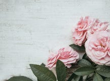 Fond de jour de valentines avec les roses roses au-dessus de la table en bois Rustique, romantique images libres de droits Fond de jour de valentines avec les roses roses au-dessus de la table en bois Rustique, romantique images libres de droits