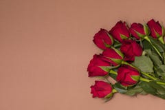 Fond de jour de valentines, fond nu sans couture romantique, bouquet rose rouge, l'espace des textes d'exemplaire gratuit image libre de droits Fond de jour de valentines, fond nu sans couture romantique, bouquet rose rouge, l'espace des textes d'exemplaire gratuit image libre de droits