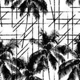 Fond de Palm Beach illustration stock Fond de Palm Beach illustration stock