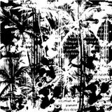 Fond de Palm Beach illustration stock Fond de Palm Beach illustration stock