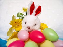 Fond de Pâques avec le lapin, les oeufs et la fleur de peluche image stock Fond de Pâques avec le lapin, les oeufs et la fleur de peluche image stock