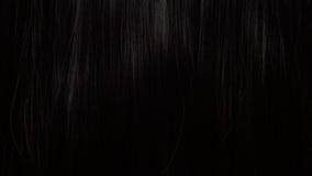 Fond de texture de cheveux, aucune personne banque de vidéos Fond de texture de cheveux, aucune personne banque de vidéos