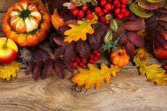 Fond de thanksgiving ou de chute avec les baies rouges, potirons, rowa photographie stock Fond de thanksgiving ou de chute avec les baies rouges, potirons, rowa photographie stock
