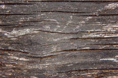 Fond en bois de texture de planche image stock Fond en bois de texture de planche image stock