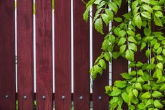 Fond en bois naturel avec les feuilles vertes images libres de droits Fond en bois naturel avec les feuilles vertes images libres de droits