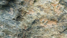 Fond en pierre de texture Serpentinite Photographie stock libre de droits Fond en pierre de texture Serpentinite Photographie stock libre de droits
