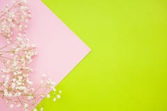 Fond minimalistic de ressort horizontal avec un gypsophila sensible de fleurs blanches sur un fond rose de greenand photographie stock libre de droits Fond minimalistic de ressort horizontal avec un gypsophila sensible de fleurs blanches sur un fond rose de greenand photographie stock libre de droits